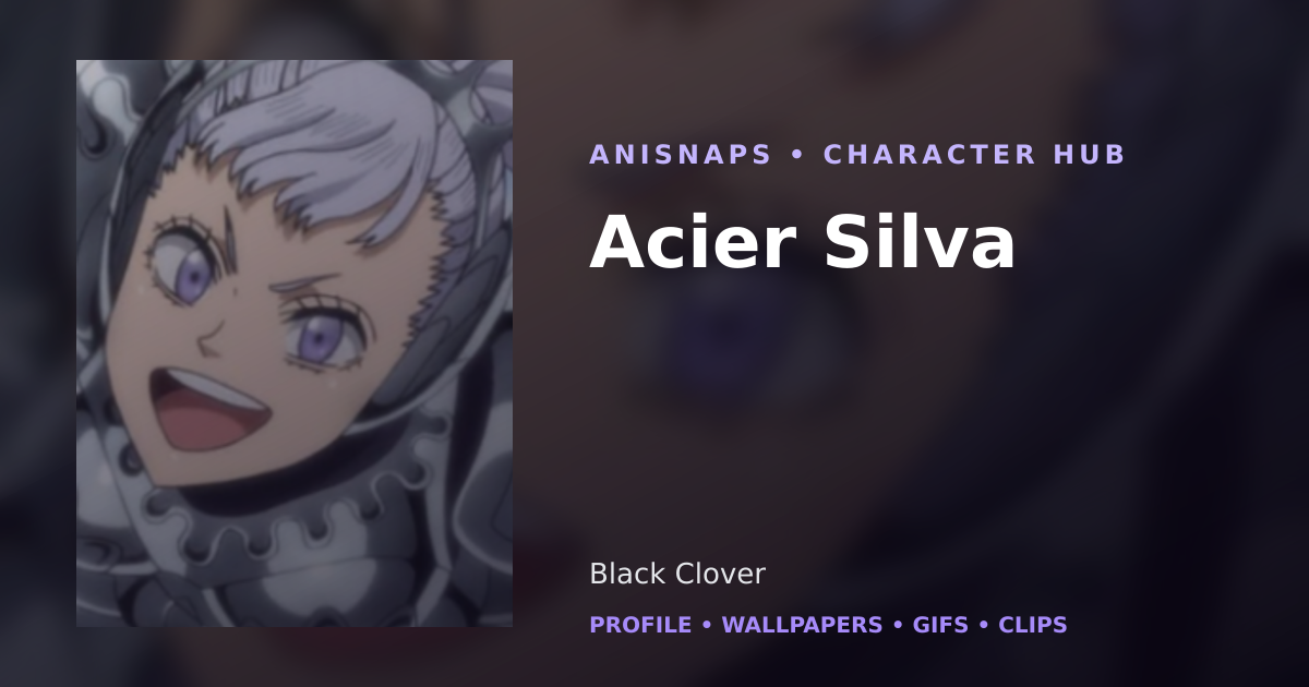 Acier Silva